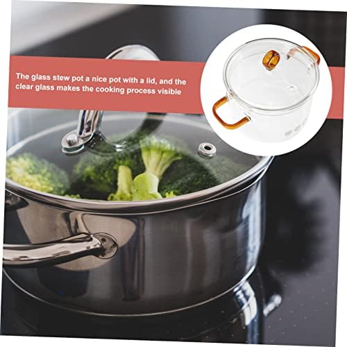 Double Handle Glass Soup Pot
