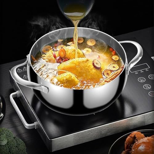 Stainless Steel Stock Pot with Lid Family- friendly Cooking Pan