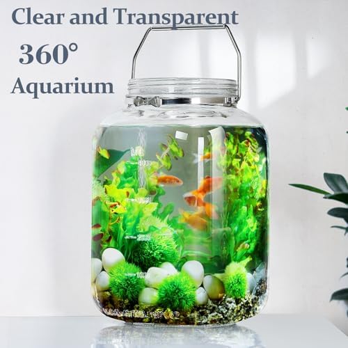 2 Pack 15 Gallon Glass Jars with Airtight Lids and Handles