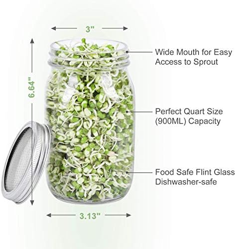 Bright Dependable Mason Jar Sprout Kit for a Lewder Wintry Sprout Journey