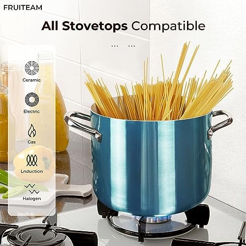 FRUITEAM Nonstick Stock Pot 7 Qt Perfect for Family Meals