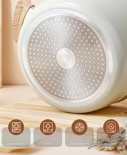 Nonstick Stock Pot with Lid Induction Compatible Cooker Durable Professional Use