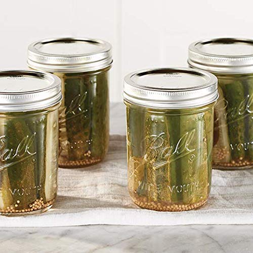 Ball Mason Jars 16 oz 2 Pack