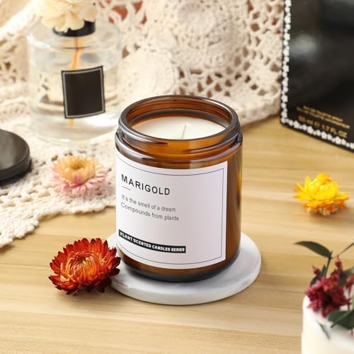 12 Pack 8 OZ Thick Glass Jars with Metal Plastic Lids