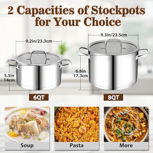 Rorence 6 QT Stockpot with Tempered Glass Lid