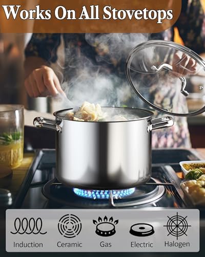 Cook N Home 6 Quart Stockpot