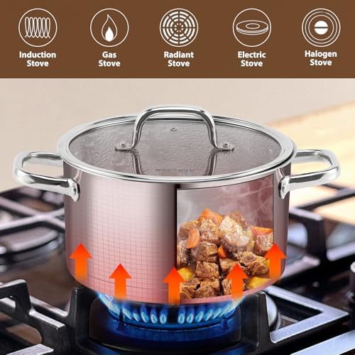 Rorence 6 QT Stockpot with Tempered Glass Lid