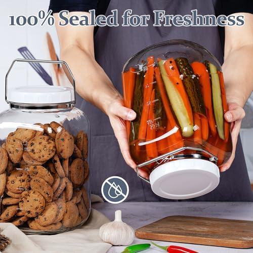2 Pack 15 Gallon Glass Jars with Airtight Lids and Handles