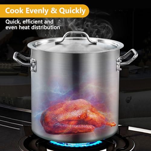 Sturdy Multipurpose Stock Pot