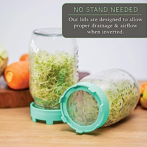 Elementi Sprout Jar Kit for Mason Jars