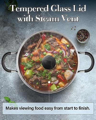 Pro-Style Nonstick Stockpot with Lid