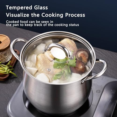 Stainless Steel Stockpot with Lid Nonstick for Soups Stews Pasta 22cm
