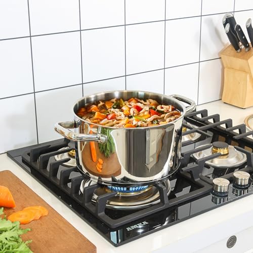 Rorence 6 QT Stockpot with Tempered Glass Lid