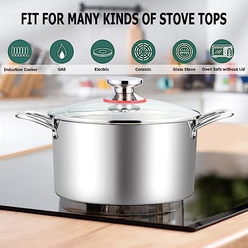 8 Quart Stainless Steel Stock Pot with Glass Lid
