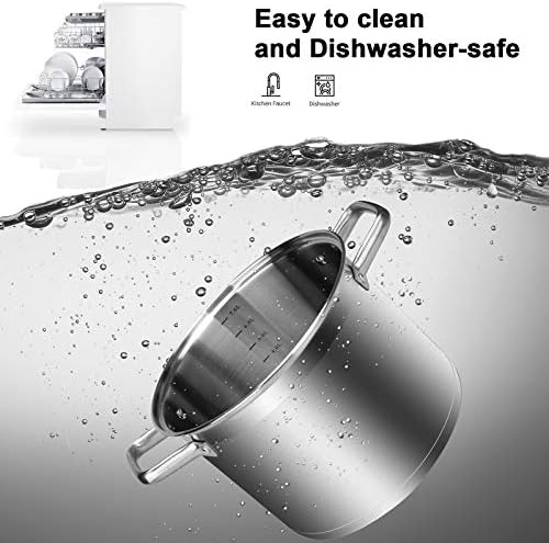 Duxtop 86 Professional Stainless Steel Pot