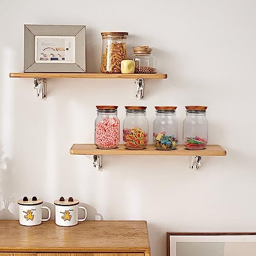 Saiveina 6-Pack Regular Mouth Lids for Mason Jars
