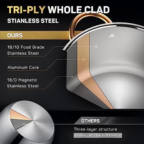 8 Quart Whole Clad Stainless Steel Stock Pot with Lid