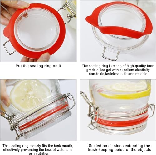 6-Pack Silicone Jar Gaskets Replacement for 42-43 Inch Glass Jars