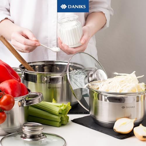 Daniks Standard stainless steel stock pot with glass lid