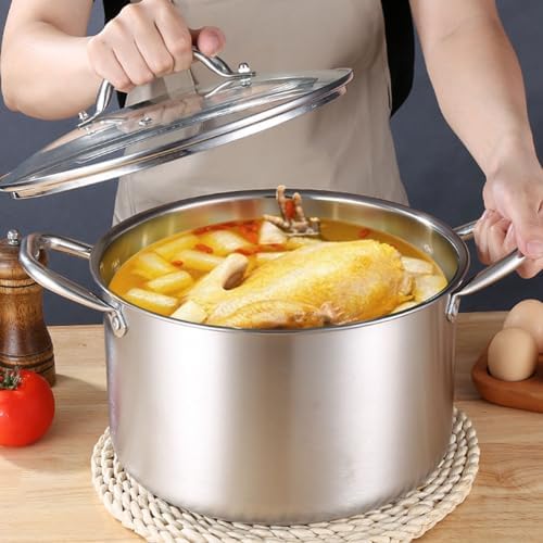 Stainless Steel Stock Pot