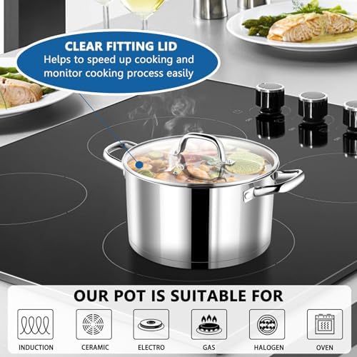Stainless Steel Stock Pot with Lid 4qt