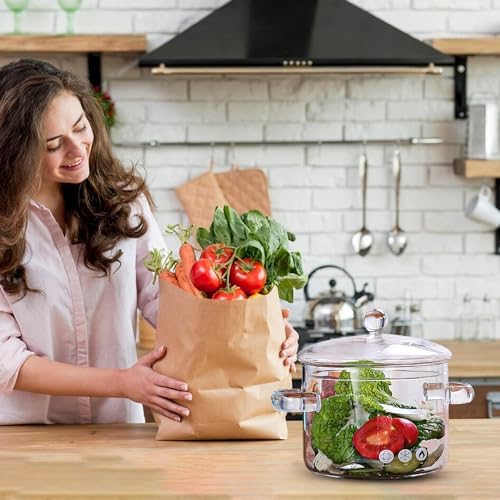 13L Heat-Resistant Glass Cooking Pot