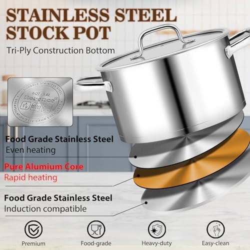 Rorence 6 QT Stockpot with Tempered Glass Lid