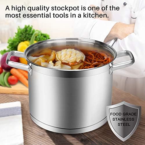 Duxtop 86 Professional Stainless Steel Pot