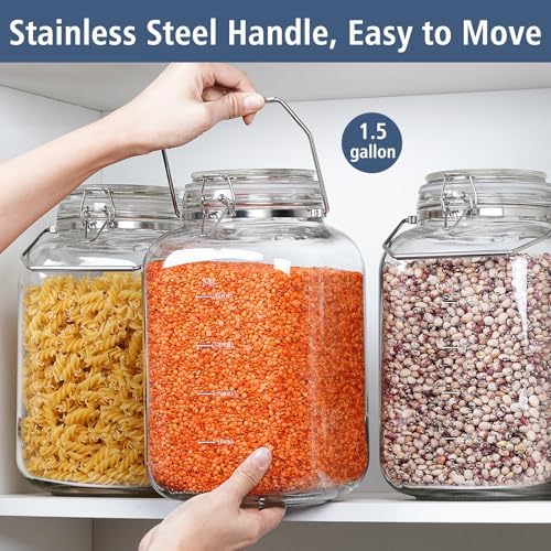 Folinstall 2 Pack Gallon Glass Jars with Airtight Lids