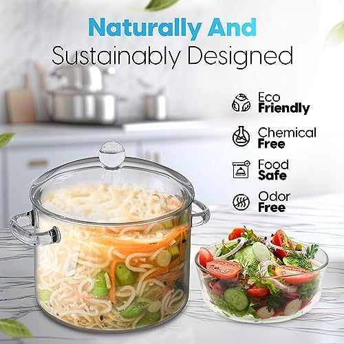 FILULA Heat-Resistant Glass Cooking Pot with Cover