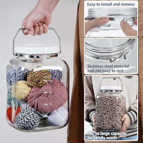 2 Pack 15 Gallon Glass Jars with Airtight Lids and Handles