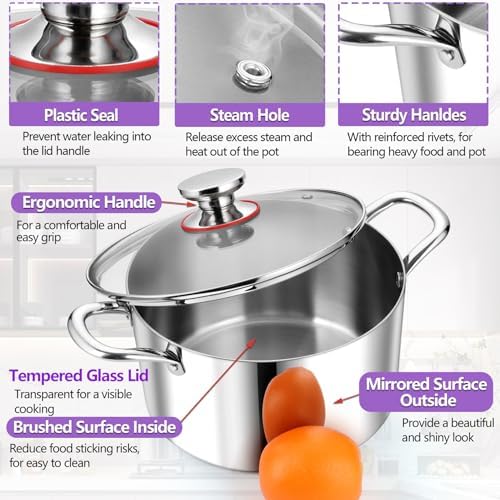 Sturdy 5QT Stockpot for Pioneers in the Kitchen