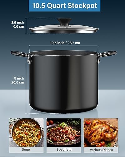 Pro-Style Nonstick Stockpot with Lid