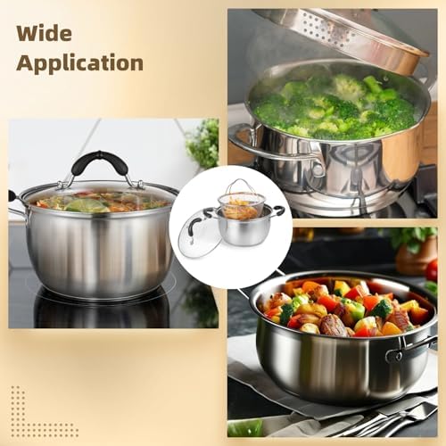 Epicover Stove Top Fryer Pot with Basket