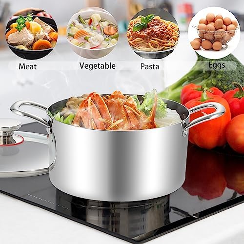 8 Quart Stainless Steel Stock Pot with Glass Lid