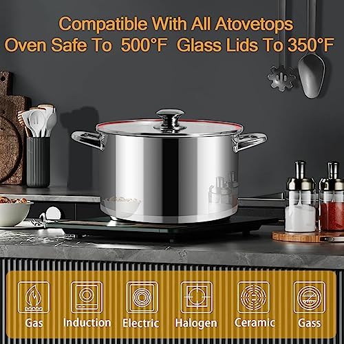 10 QT Stainless Steel Stock Pot