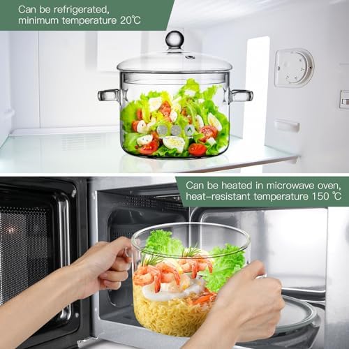 Glass Simmer Pot With Lid 19L64oz