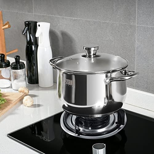 DERUI 22CM 4 Quart Stock Pot with Glass Lids