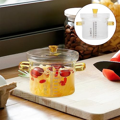 Premium Glass Stovetop Pot