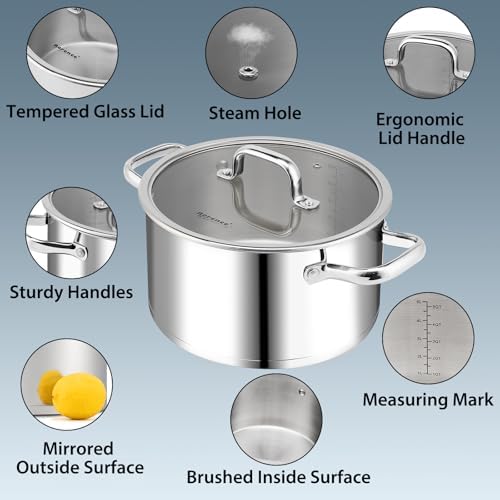 Rorence 6 QT Stockpot with Tempered Glass Lid
