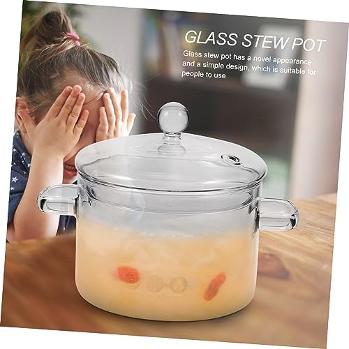 STOBAZA Glass Stew Pot 1500ml with Dual Handle and Lid