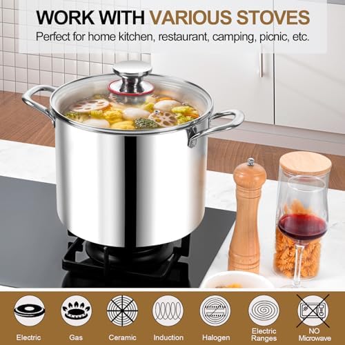 Sturdy 12 qt Stockpot with Glass Lid Non-toxic Dishwasher Safe
