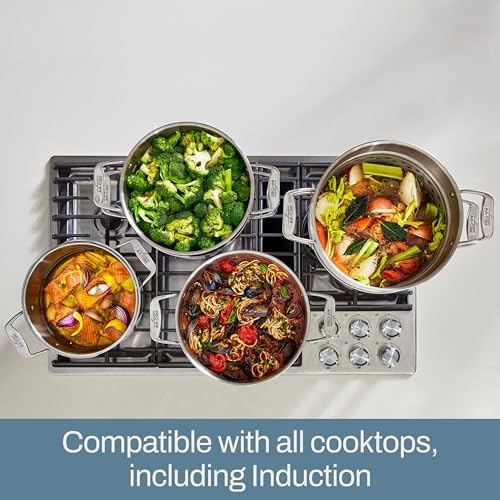 All-Clad Simply Strain 6-QuartMulti-Pot with Straining Lid