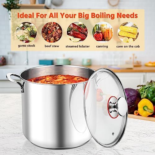 E-far 12-Quart Stock Pot with Lid 1810 Stainless Steel