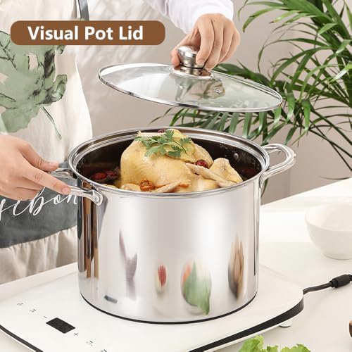 Tri-Ply Stainless Steel Stock Pot with Glass Lid