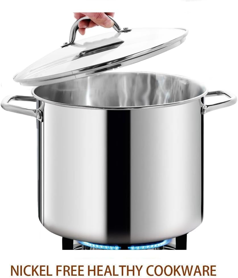 HOMICHEF 16 Quart Stockpot with Glass Lid