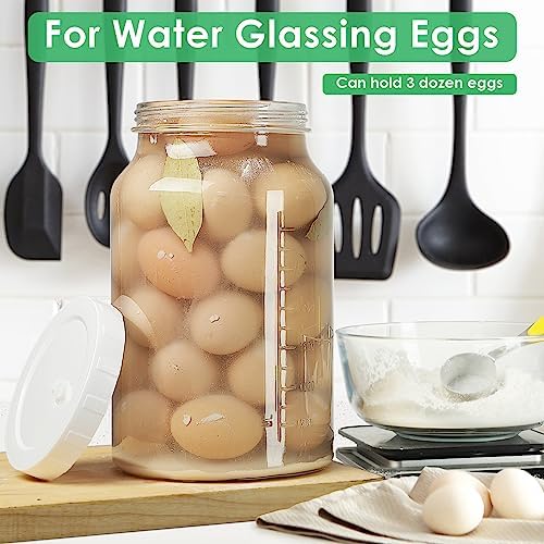 Qianfenie 2-Pack Fermentation Jars for Pickling Brewing Durable Airtight Glass