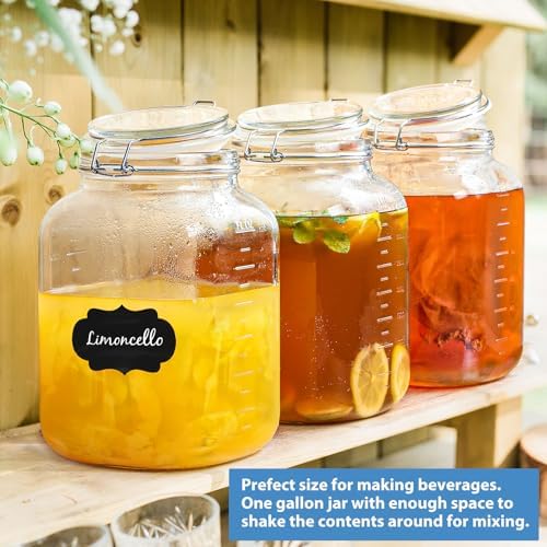 2-Piece 1 Gallon Glass Canning Jars with Airtight Lids