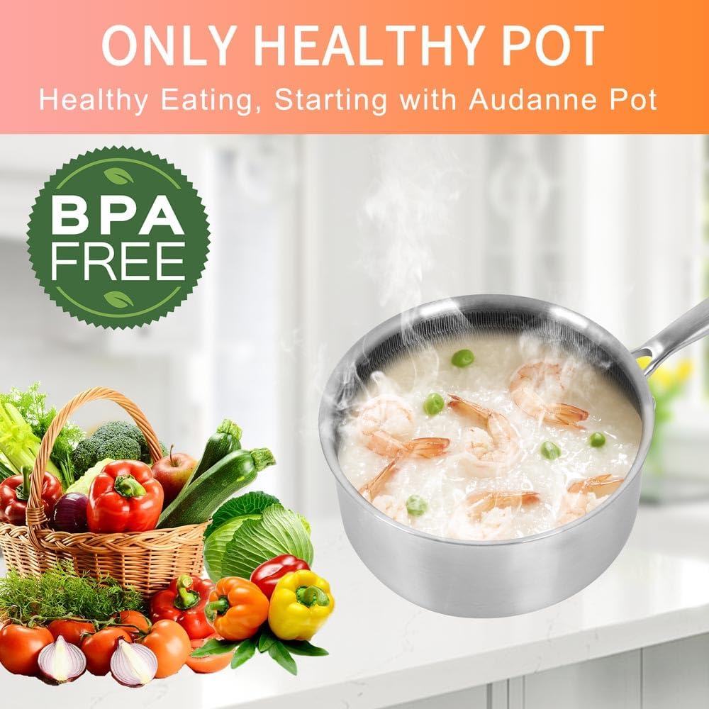 Audanne 20 qt Stainless Steel Saucepan with Steamer