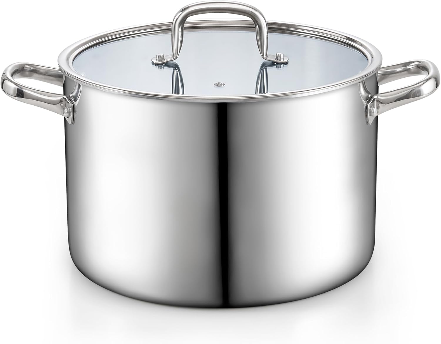 The Strongest 12-QT Stockpot